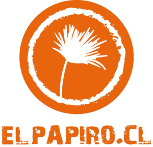 elpapiro.cl